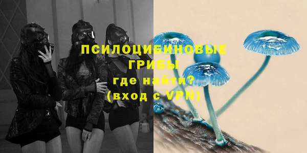 герыч Алзамай