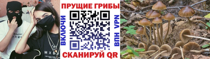 hydra сайт  Новоаннинский  Псилоцибиновые грибы мухоморы 